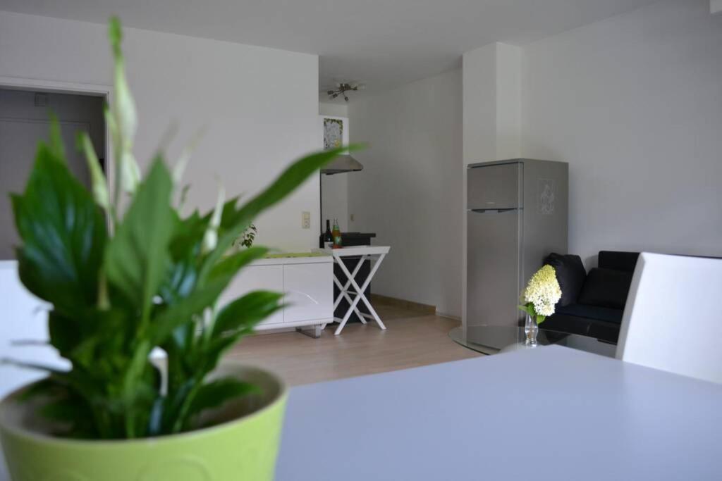 Ferienwohnung Stimmer Grainau Εξωτερικό φωτογραφία